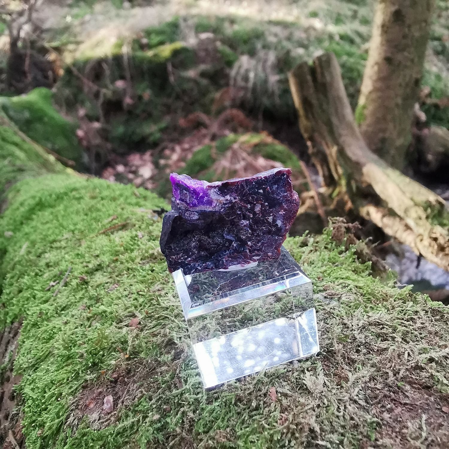 Sugilith *sehr selten *- Rohsteine, Mineralien, Kristalle