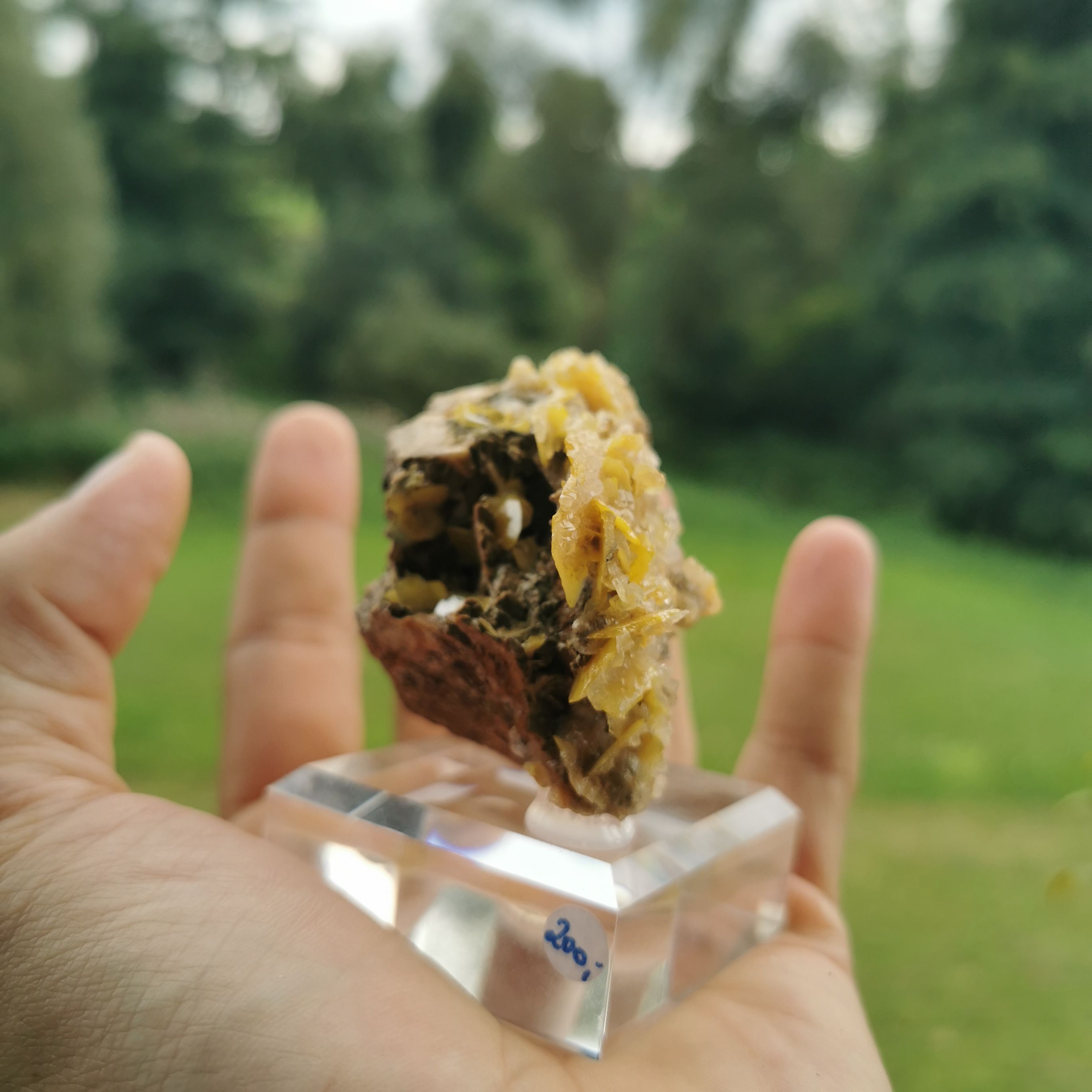 Wulfenit - Mineralien, Kristalle, Raritäten