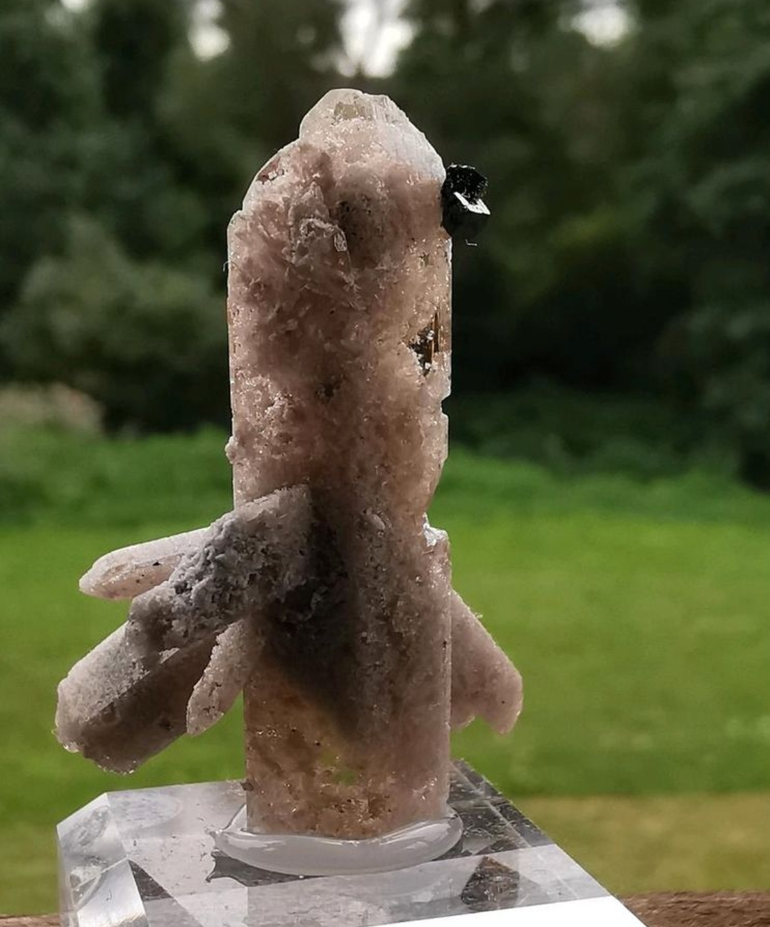 Topas+Bixbyit -Mineralien, Kristalle, Raritäten