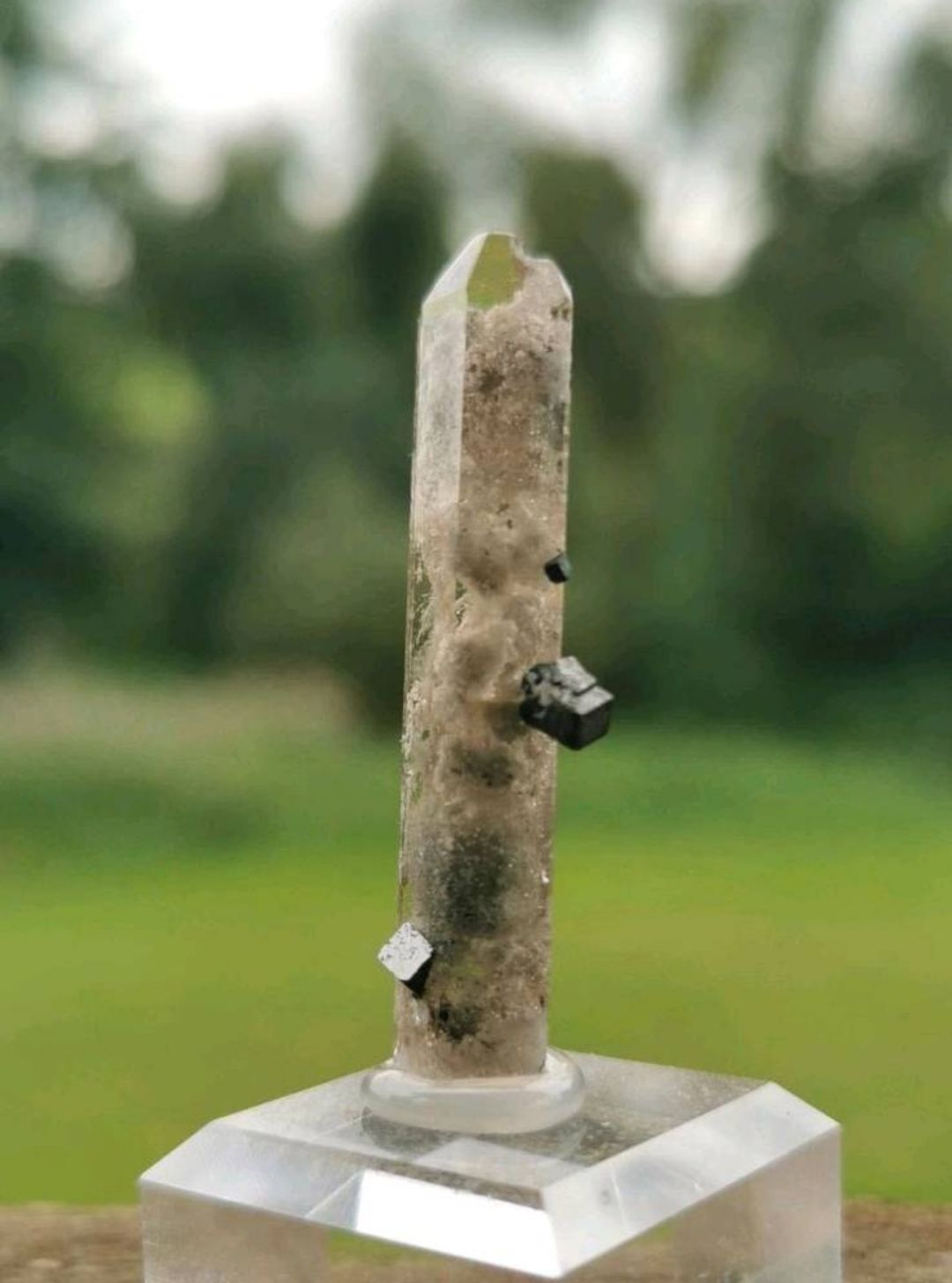 Topas+Bixbyit -Mineralien, Kristalle, Raritäten