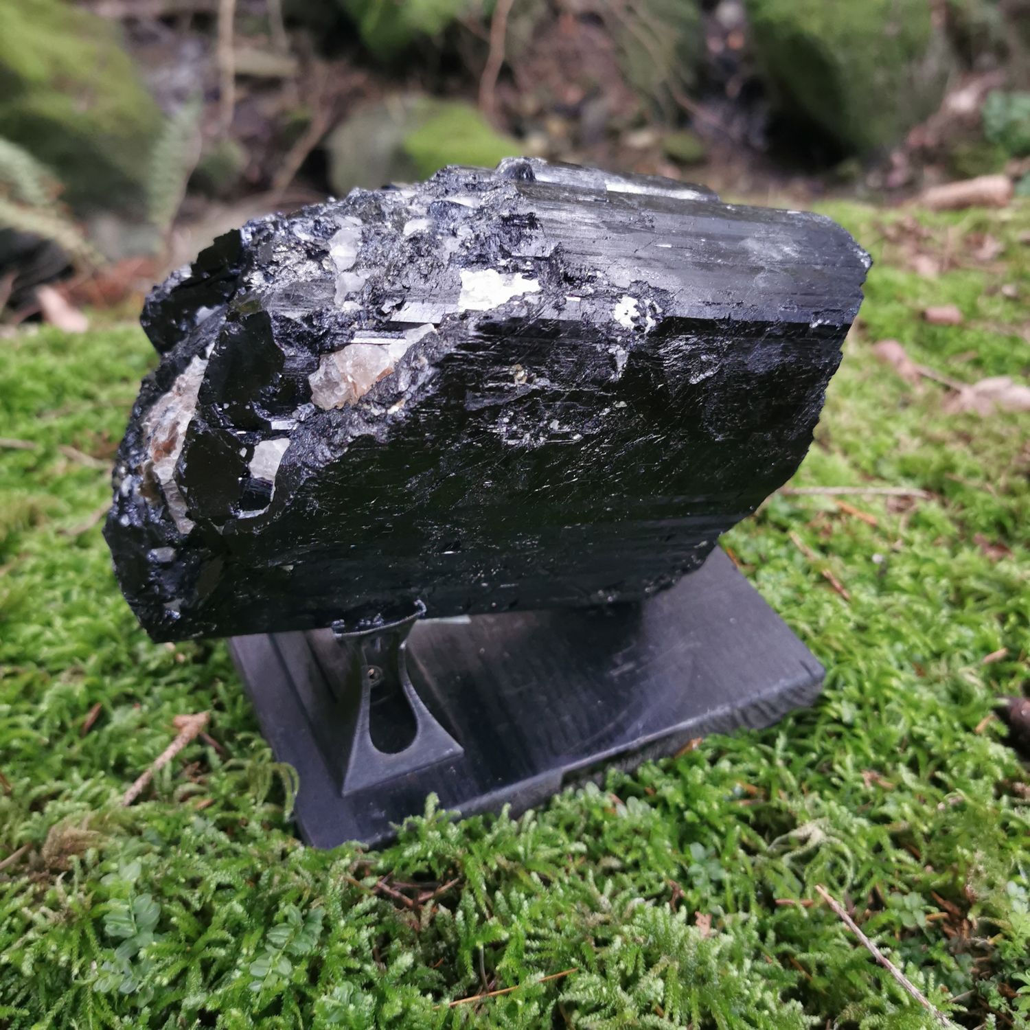 XXL Museumsstufe schwarzer Turmalin - Mineralien, Raritäten, Heilsteine