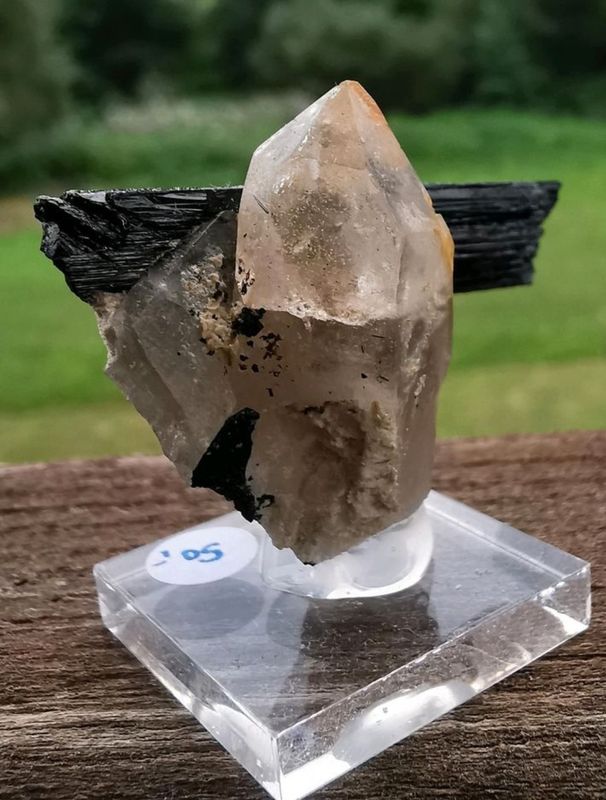 Schwarzer Turmalin Rauchquarz-Mineralien, Kristalle, Raritäten