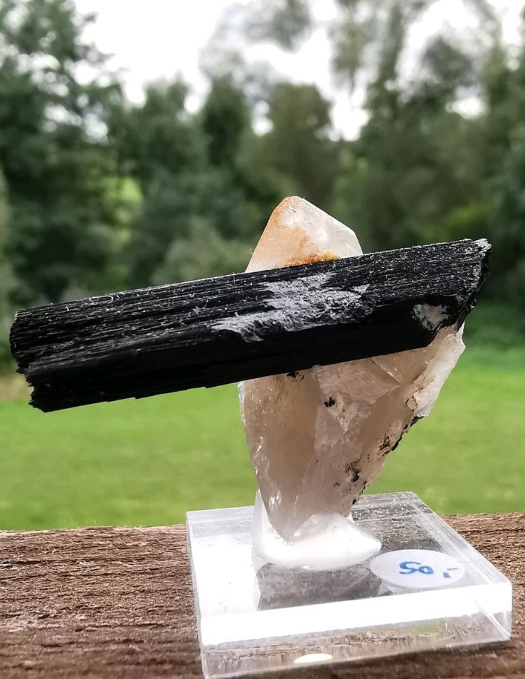 Schwarzer Turmalin Rauchquarz-Mineralien, Kristalle, Raritäten