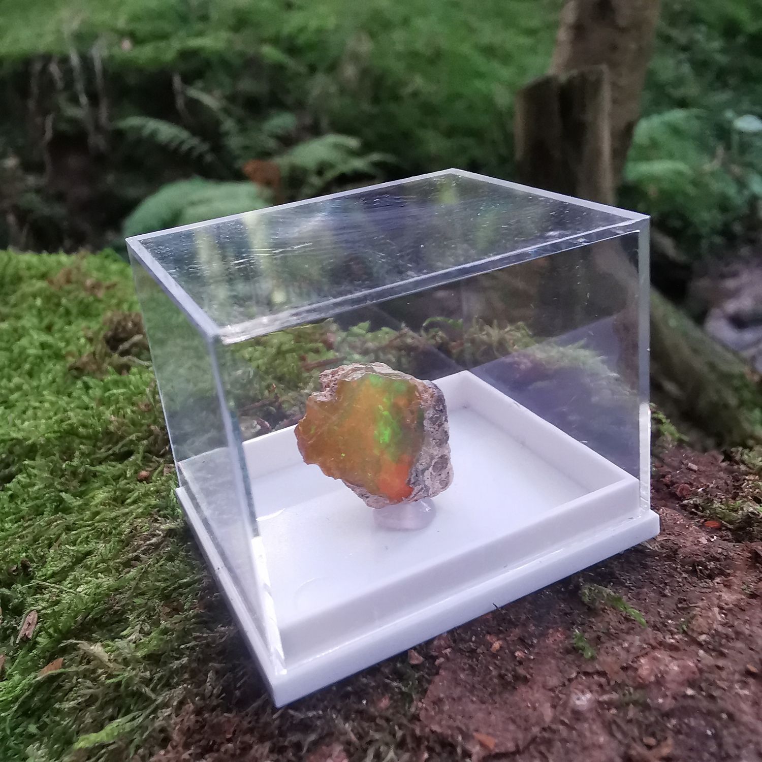 Kristall Opal 10ct. - Mineralien, Kristalle, Raritäten