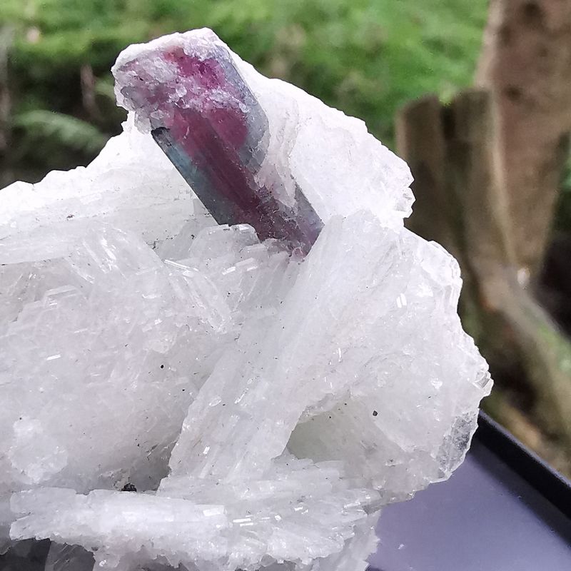 Turmalin/ Clevelandit -Mineralien, Kristalle, Raritäten