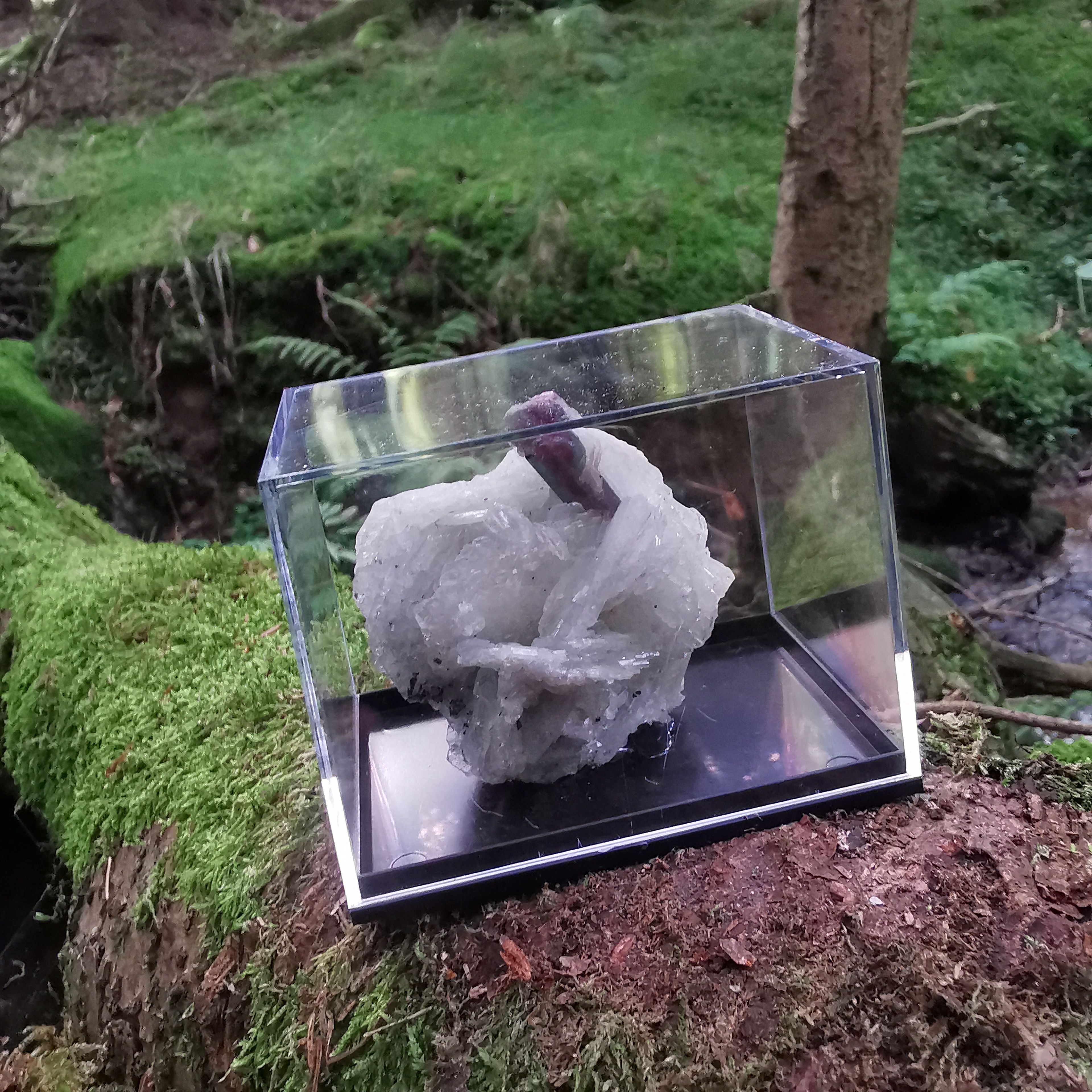 Turmalin/ Clevelandit -Mineralien, Kristalle, Raritäten