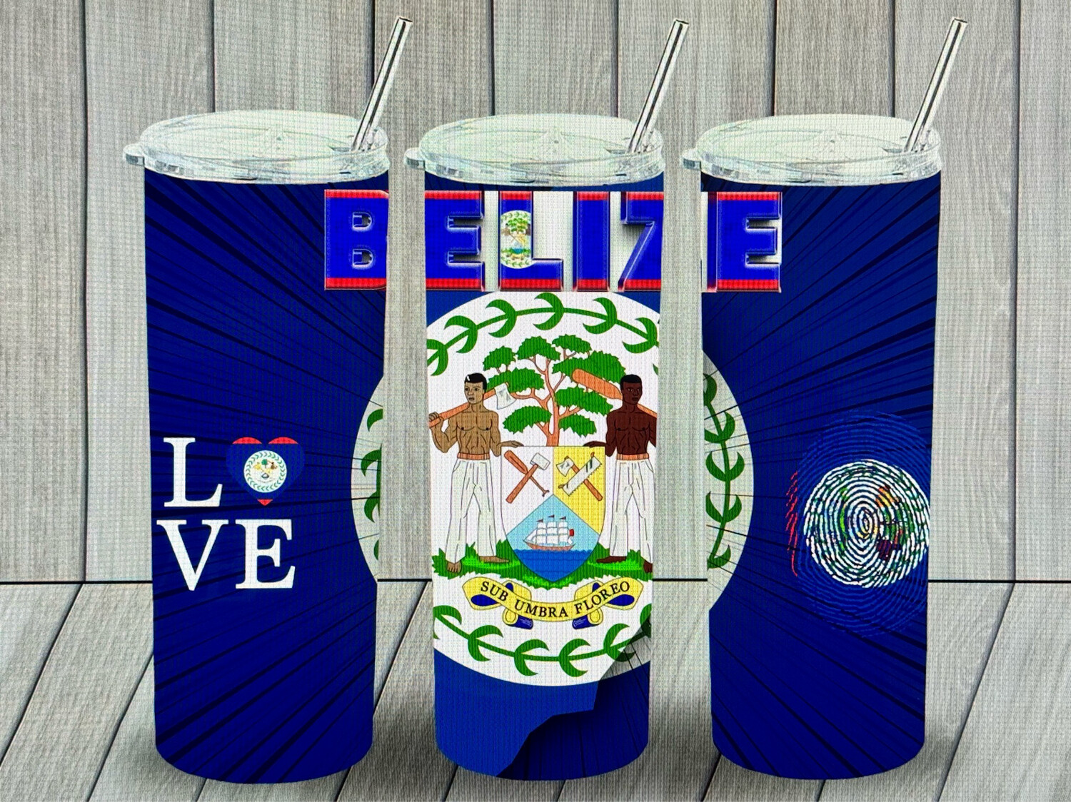 20oz Belize Tumbler Cup