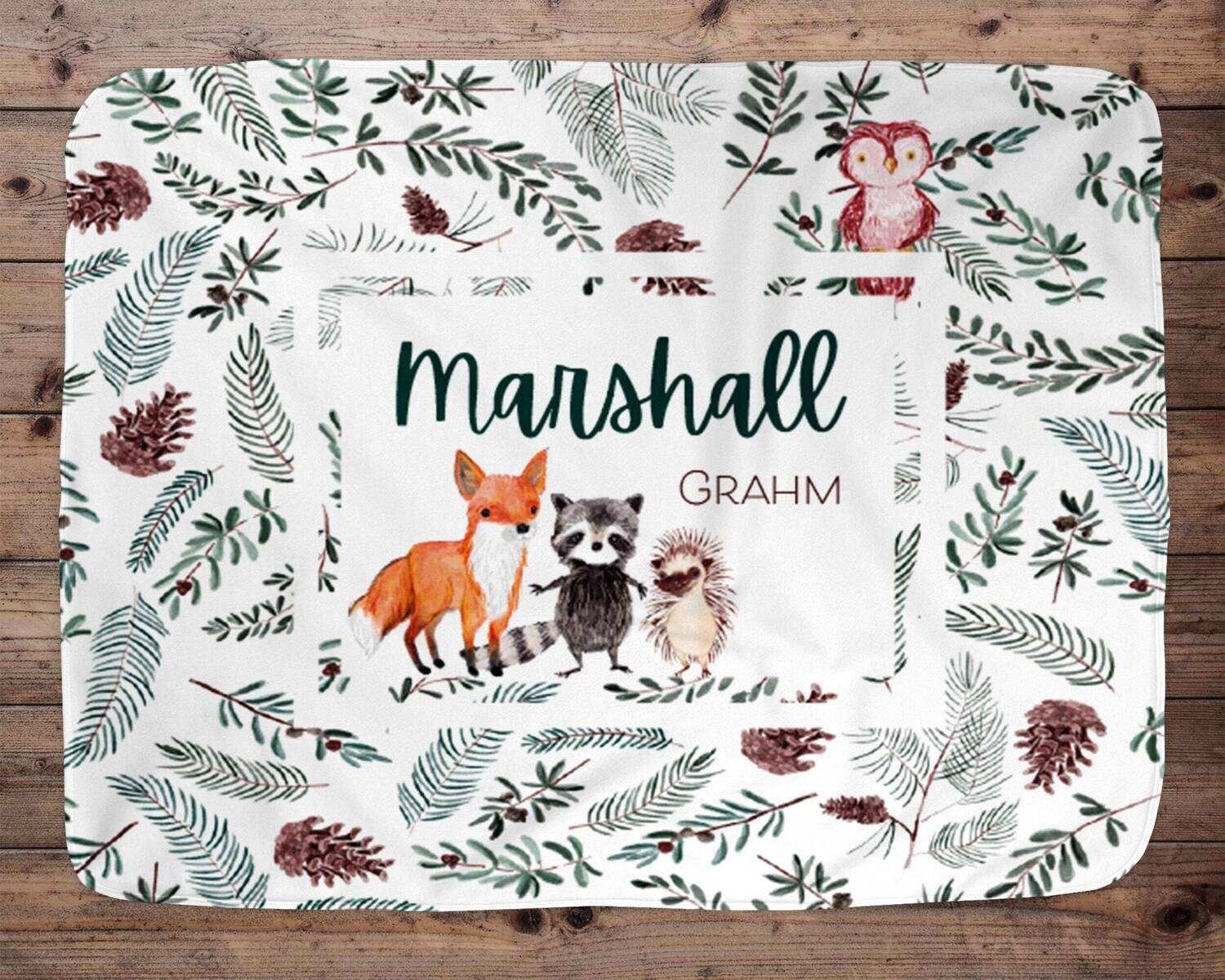 Custom Baby Blanket, Baby Blanket, Name Baby Blanket, Forest Animal Baby Gift, Minky Baby, Deer, Blanket, Woodland, Baby Boy, Boy, Wild
