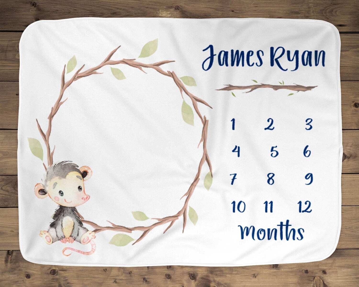 Opossum Baby Age Milestone Name Blanket, Opossum Baby Gift, Custom Baby Blanket, Boy Baby Blanket, Name Baby Blanket, Baby Boy Idea, Photo