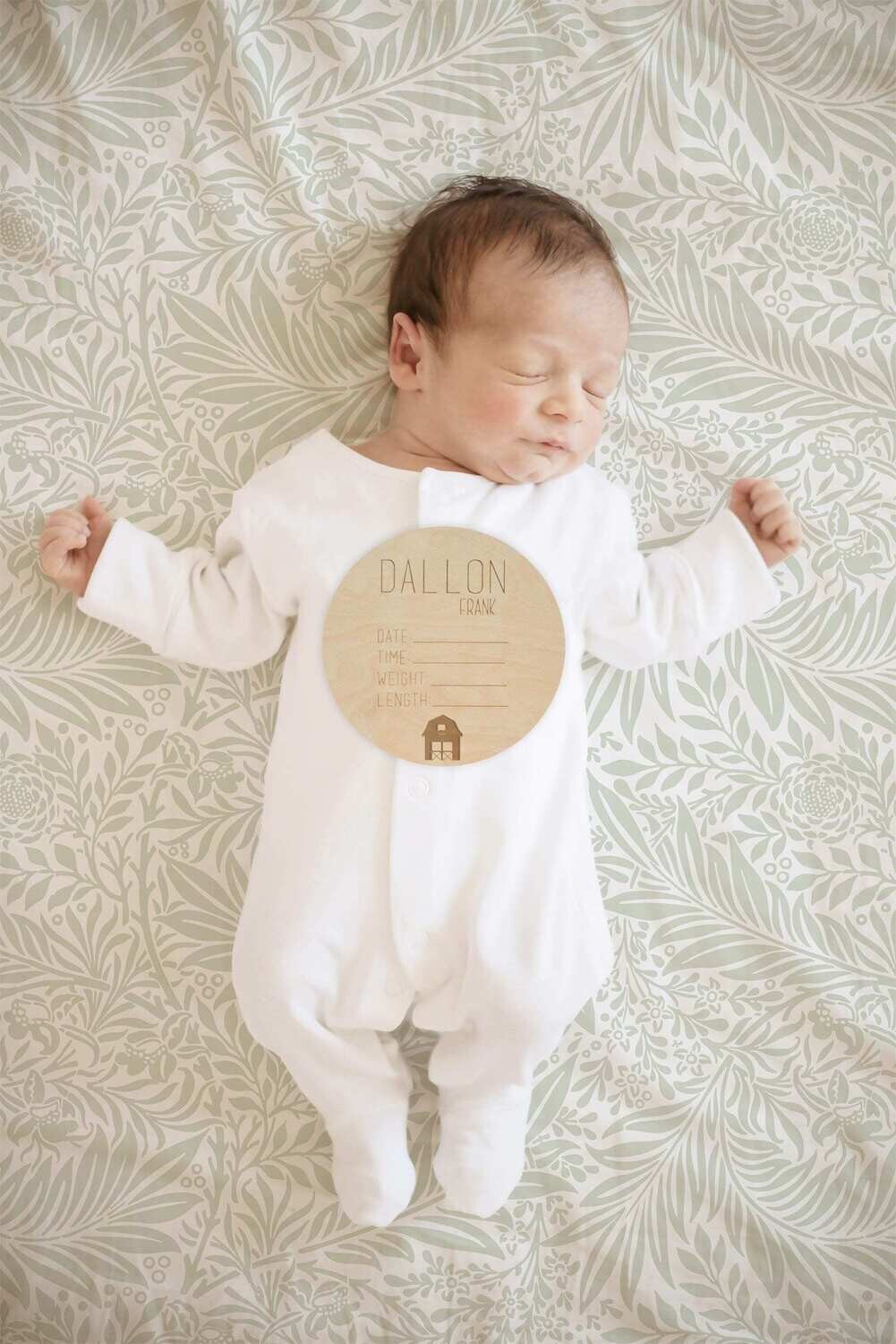 Personalized Barn Birth Announcement Sign, Name Birth Stats Sign, Announcement Sign, Custom Birth Sign, Personalized Birth Announcement Sign