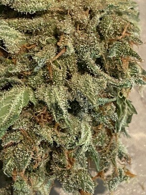 Krazy KoKo Feminized Auto-Flower Seeds - Limited Quantity