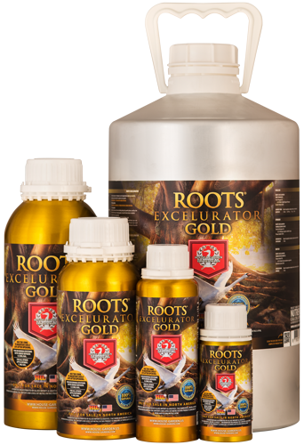 House and Garden: Roots Excelurator 100ml