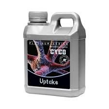 Cyco: Uptake qt