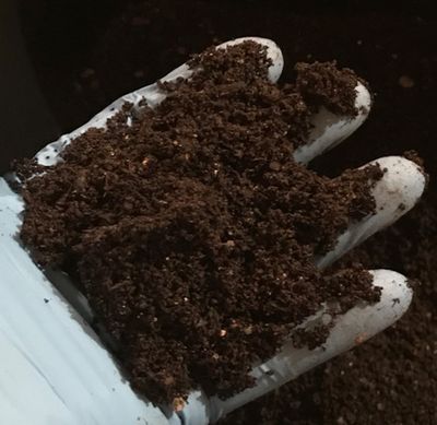 New Soil Vermiculture: Worm Castings 5 lb