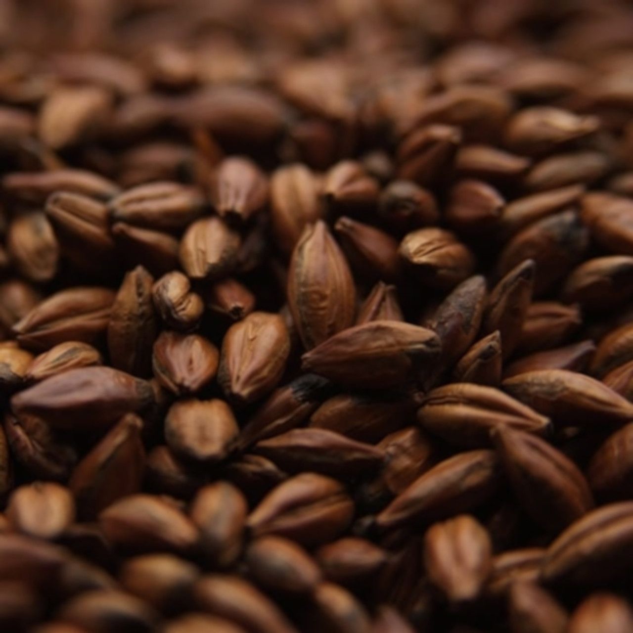 Pale Chocolate Malt lb