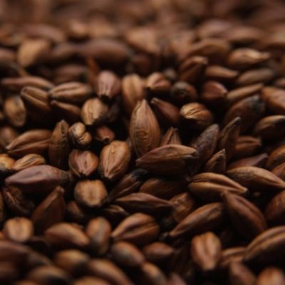 Pale Chocolate Malt oz