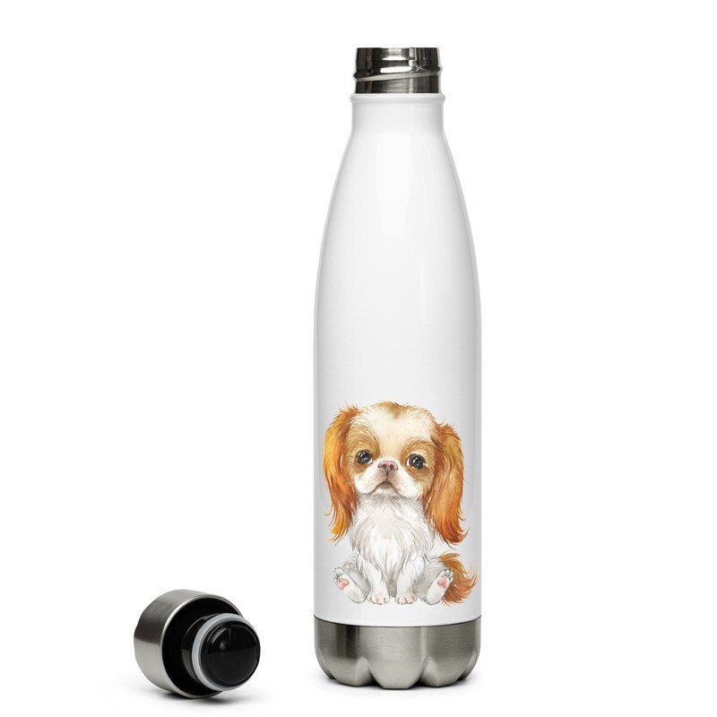 Japanese Chin No 1 Stainless steel water bottle