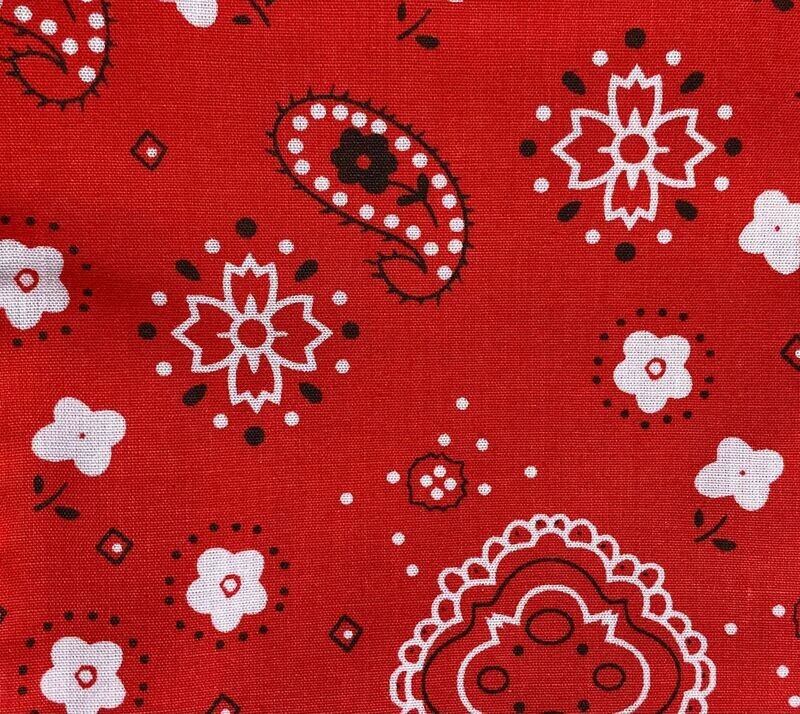 Bandana Red