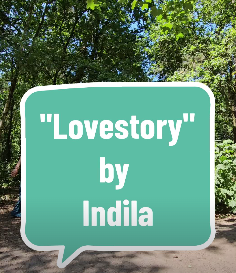 "Lovestory" by Indila
