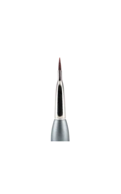 Composite Replacement Brushes Tips