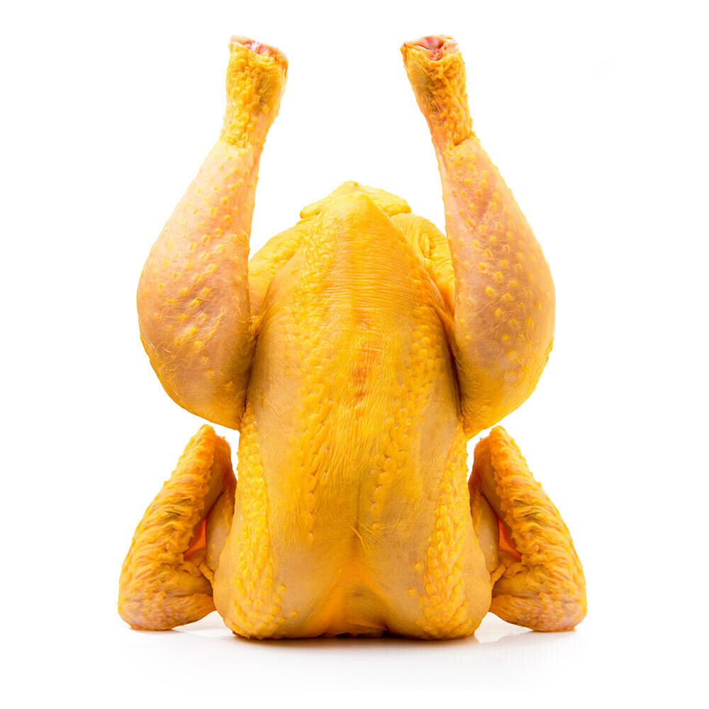 Pollo Cuck
