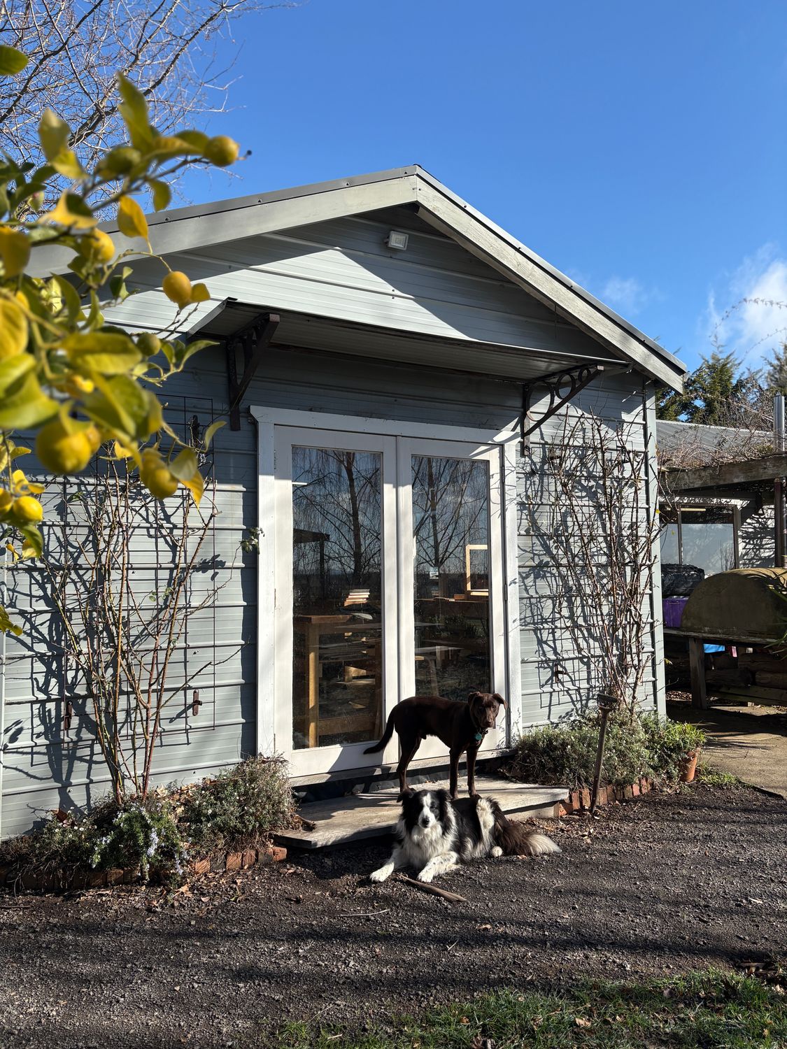Phoebe Everill 1 Day Introduction to Straw Marquetry Workshop