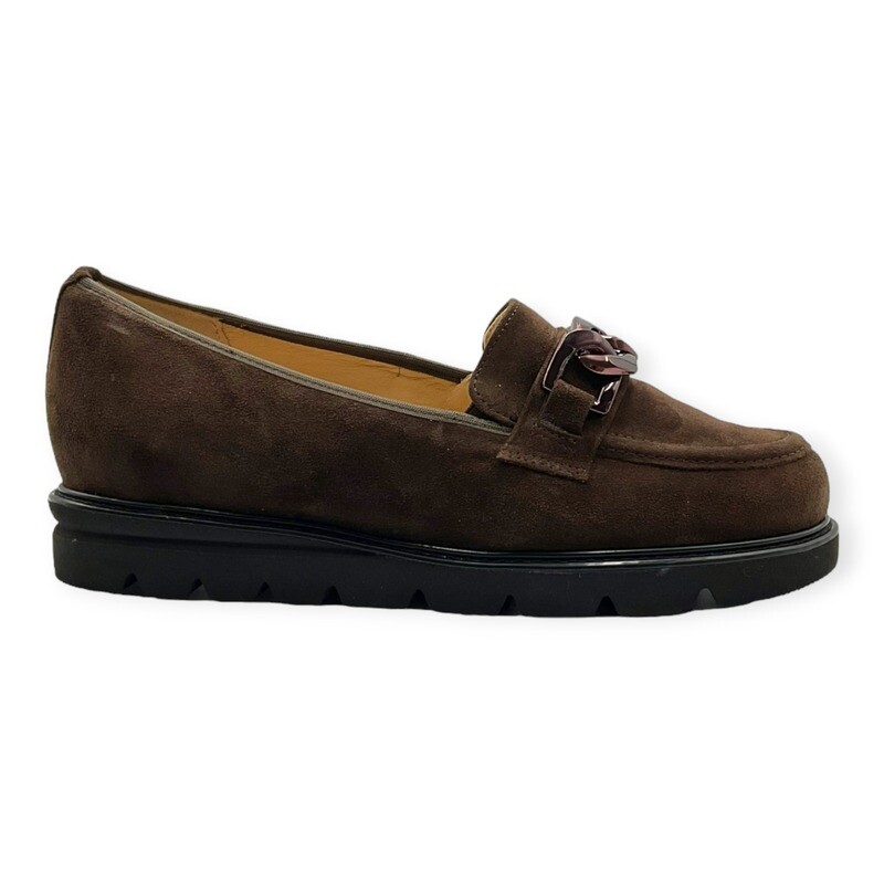 Hassia pisa 6-301578