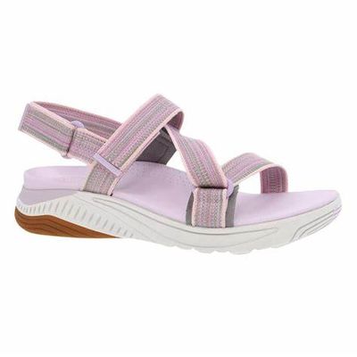 Rayna Lilac Multi Webbing