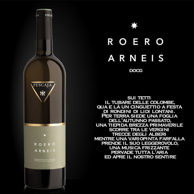 PESCAJA - Roero Arneis  2024