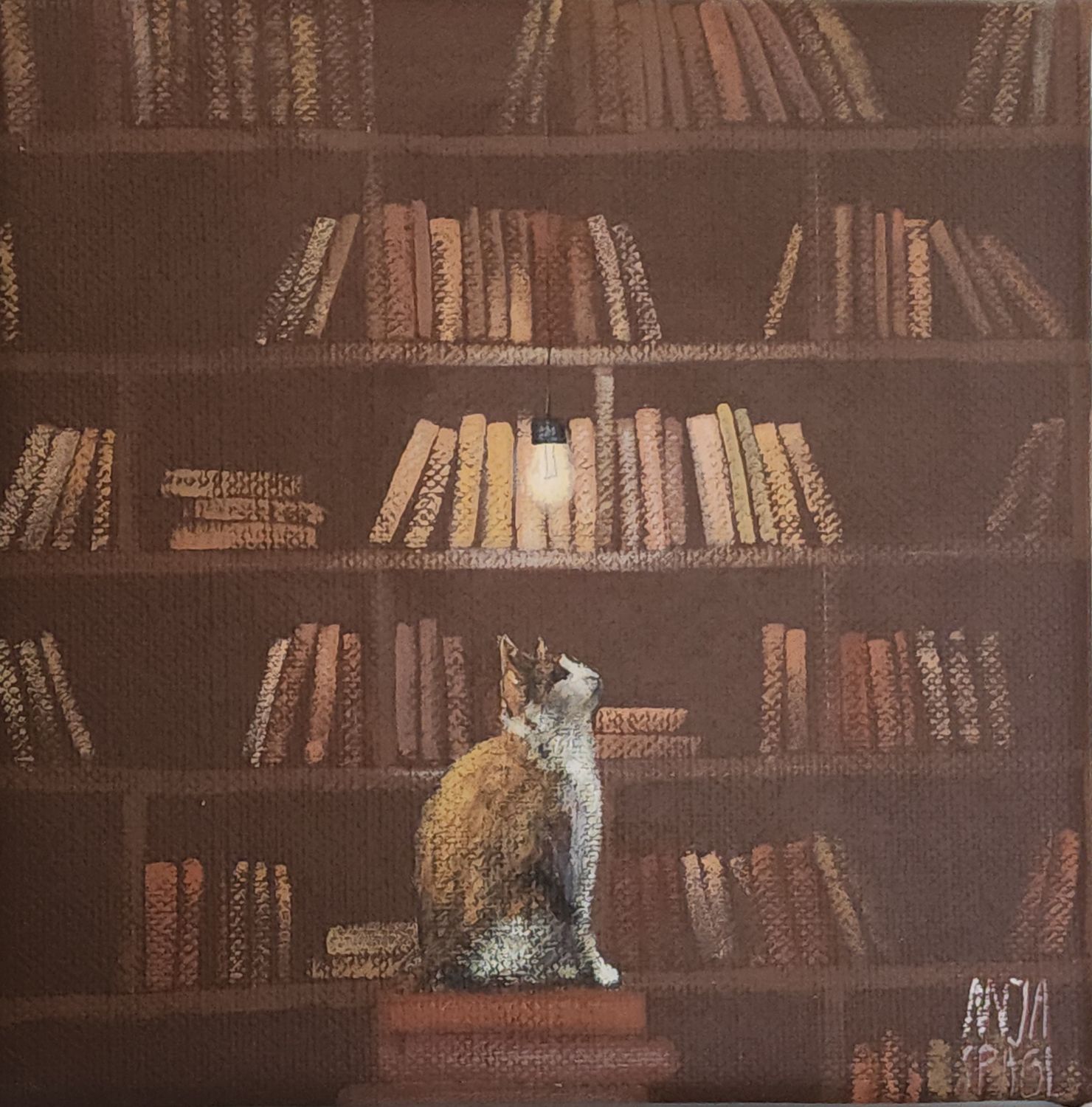 Book Cat