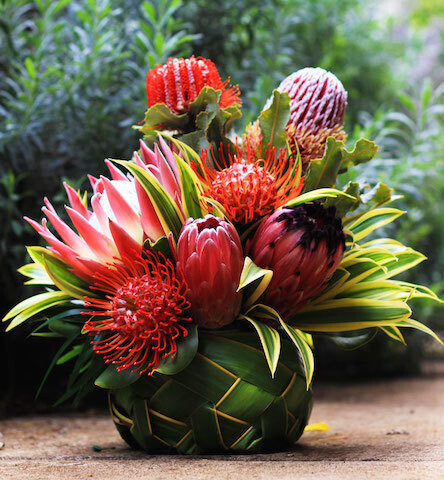 Luna's Choice Coconut Frond Basket Arrangement