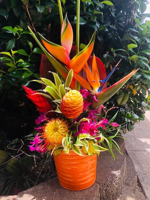 Aloha Arrangement