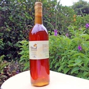 Regular Honey Bottle - 36oz