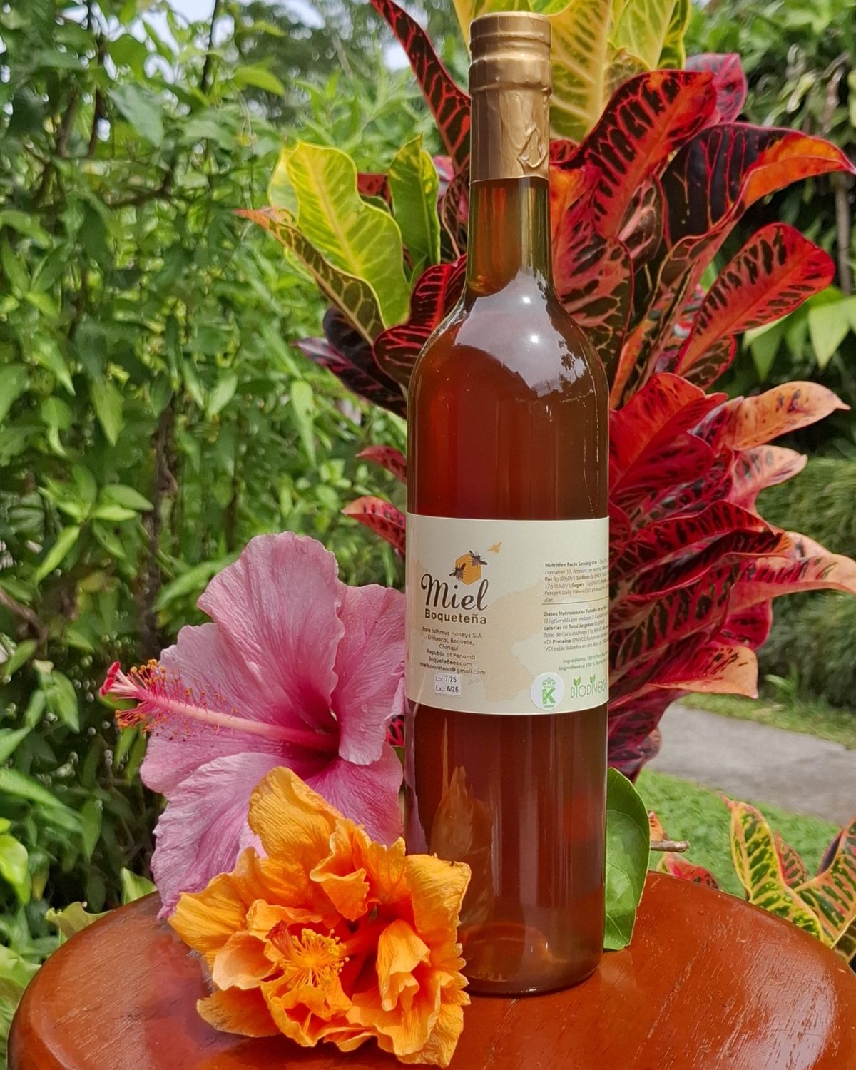 Regular Honey Bottle - 36oz