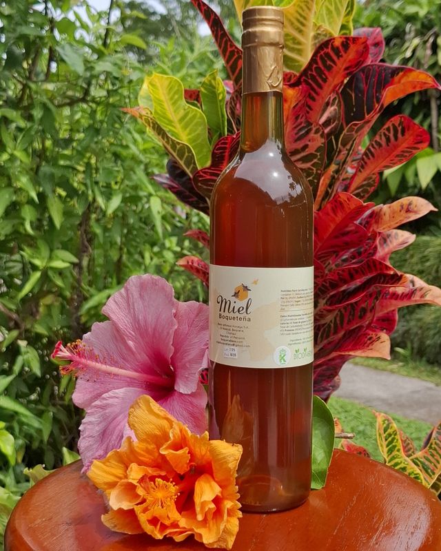 Regular Honey Bottle - 36oz