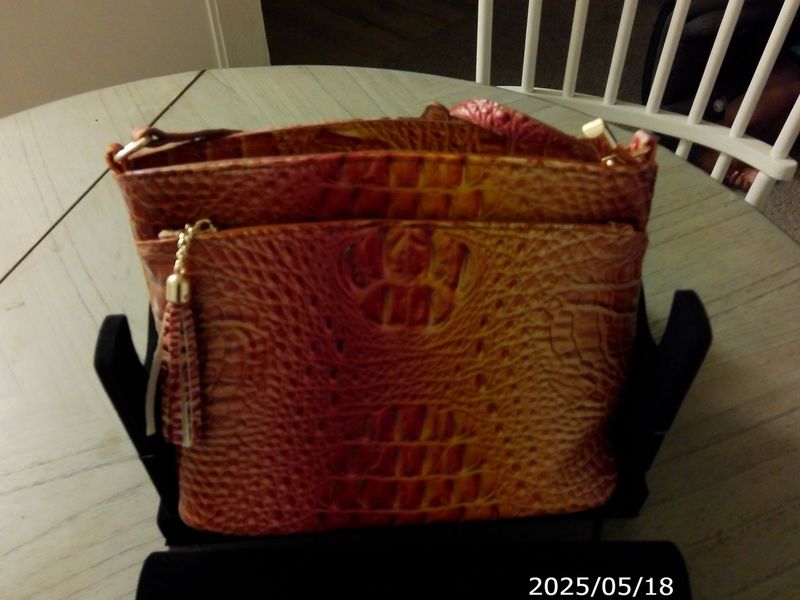 Cross Body Crocodile Purse