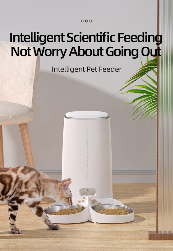Automatic Cat Feeder