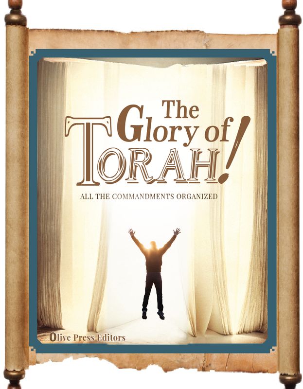 THE GLORY OF TORAH, 1st version, coil bound