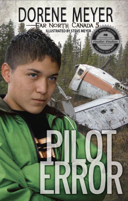 05. PILOT ERROR