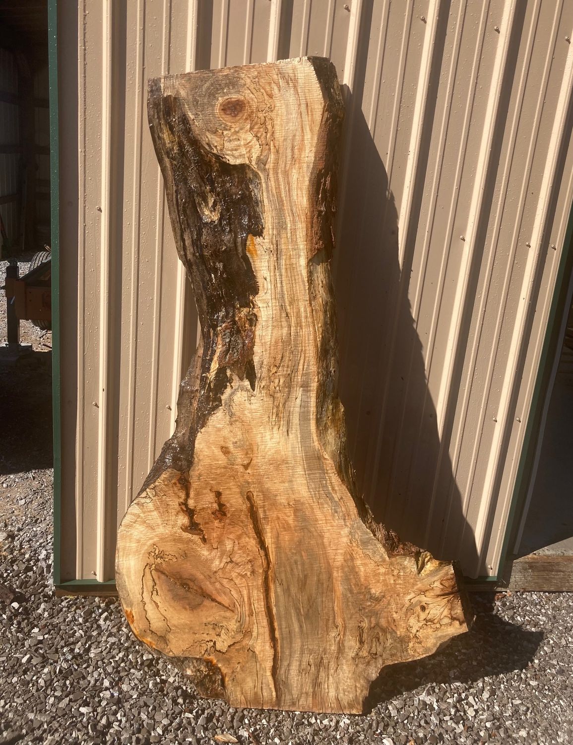LIVE EDGE MAPLE SLAB