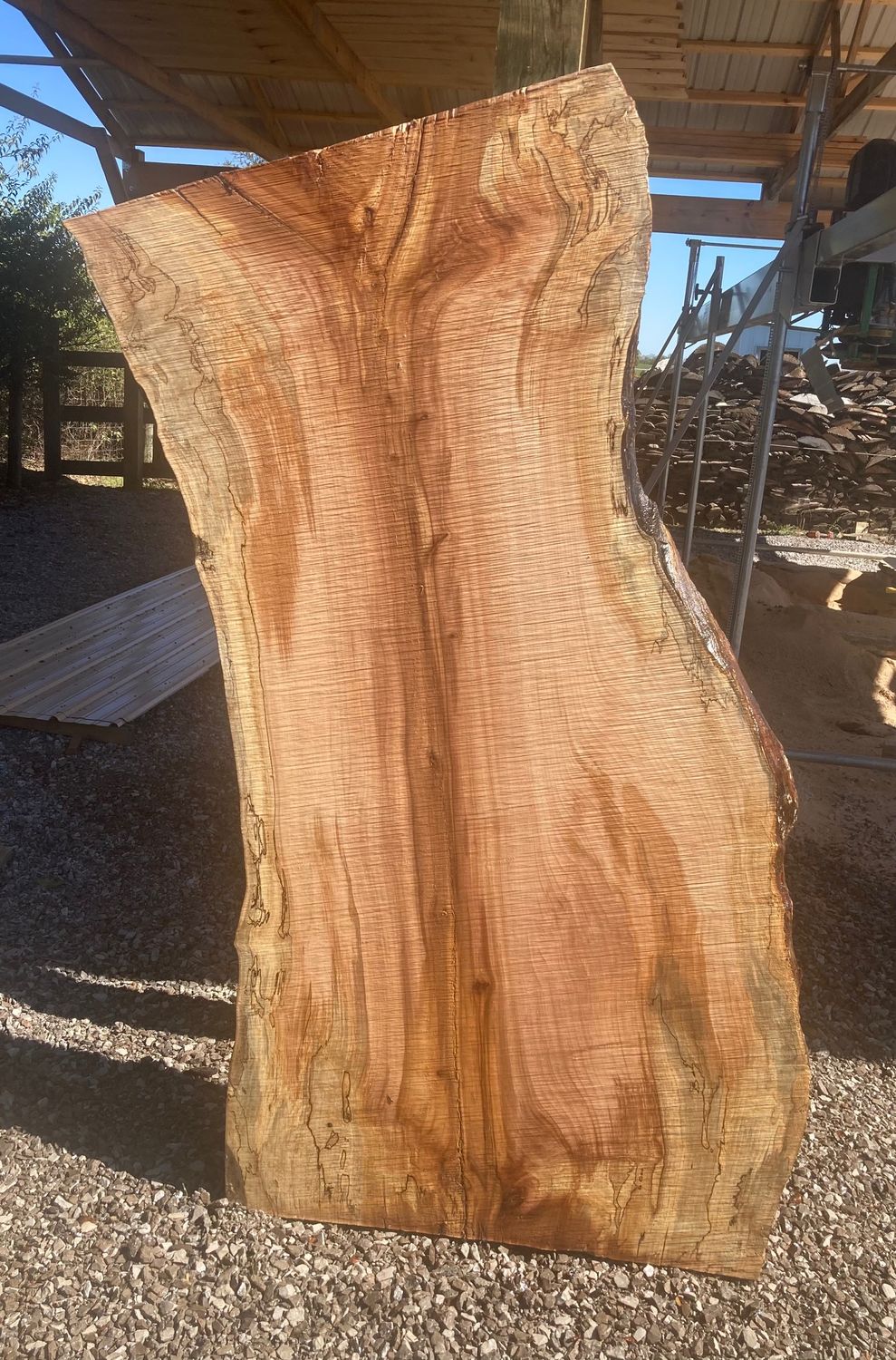 LIVE EDGE MAPLE SLAB