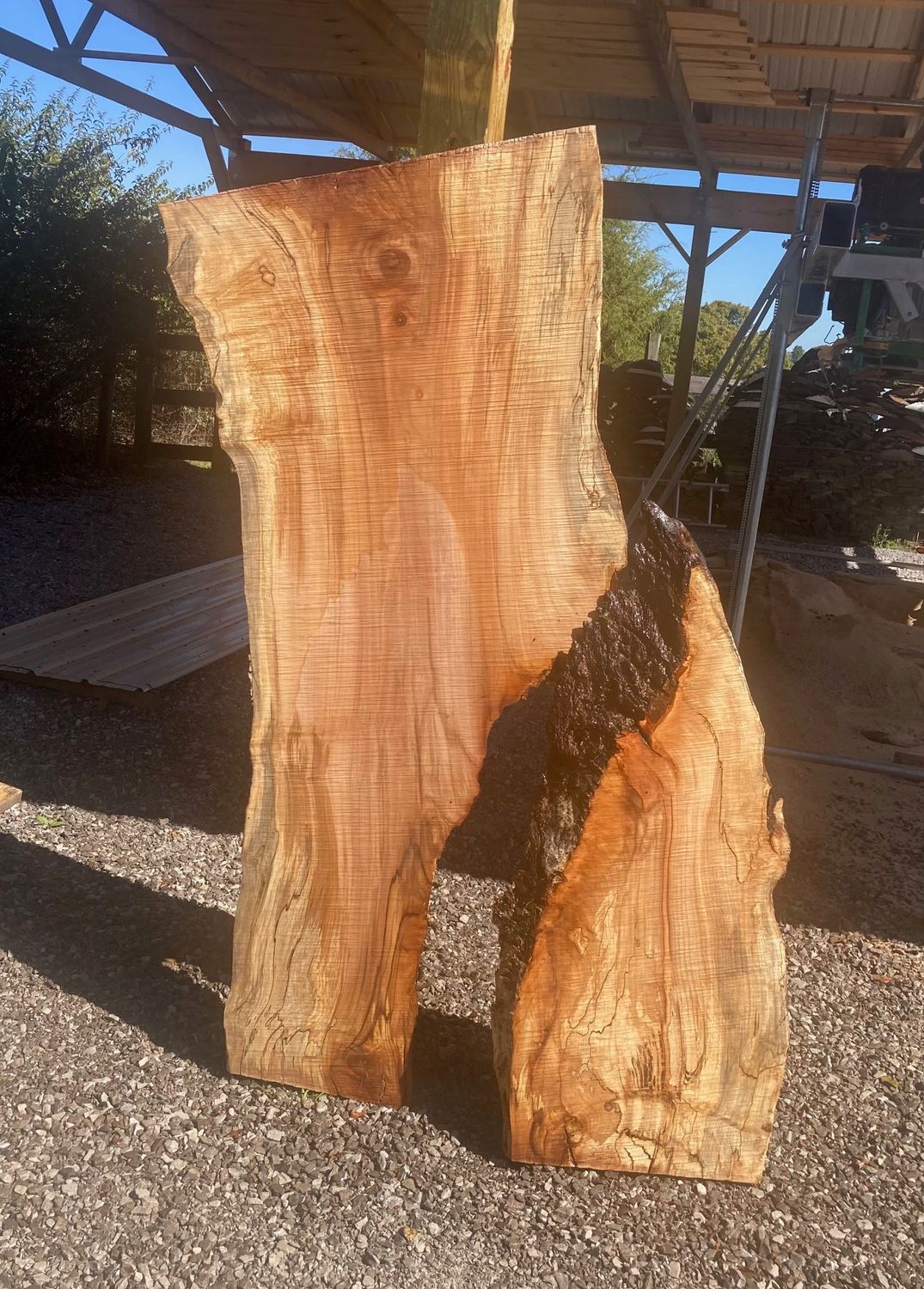 LIVE EDGE MAPLE SLAB