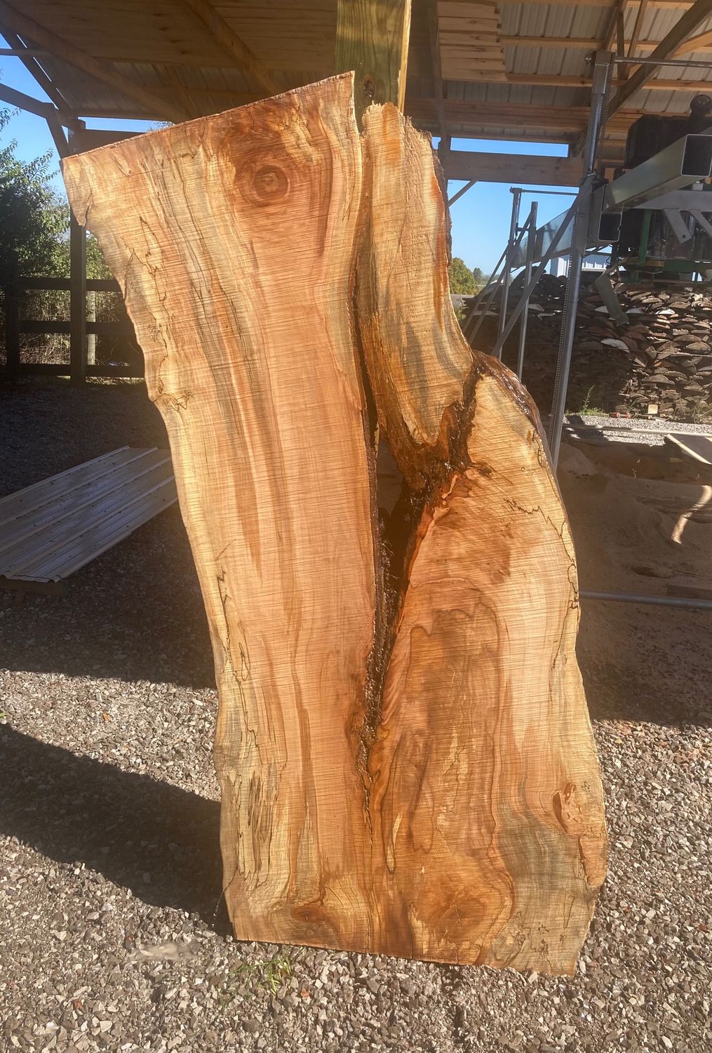 LIVE EDGE MAPLE SLAB