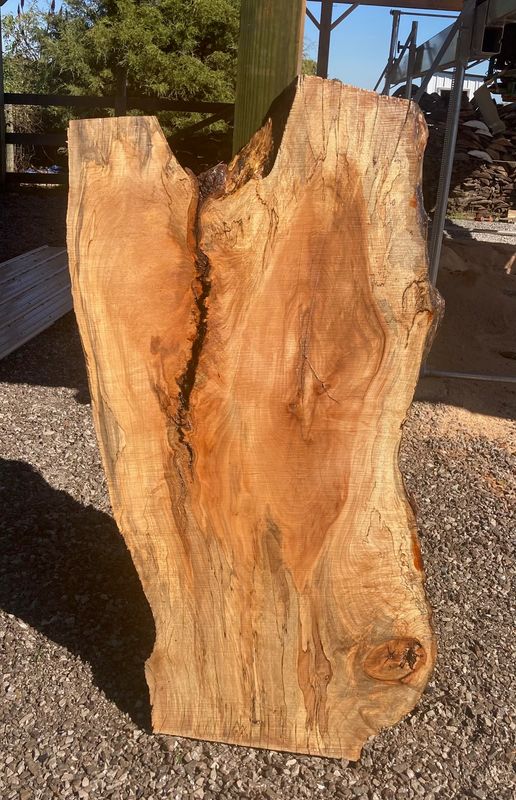 LIVE EDGE MAPLE SLAB