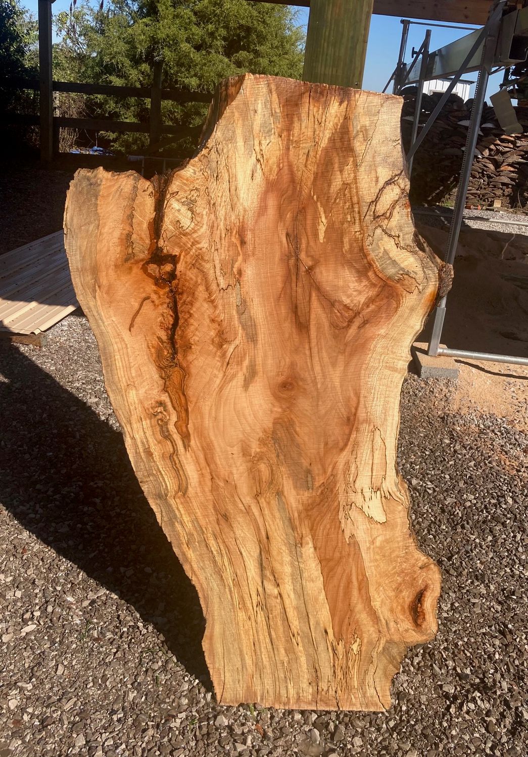 LIVE EDGE MAPLE SLAB