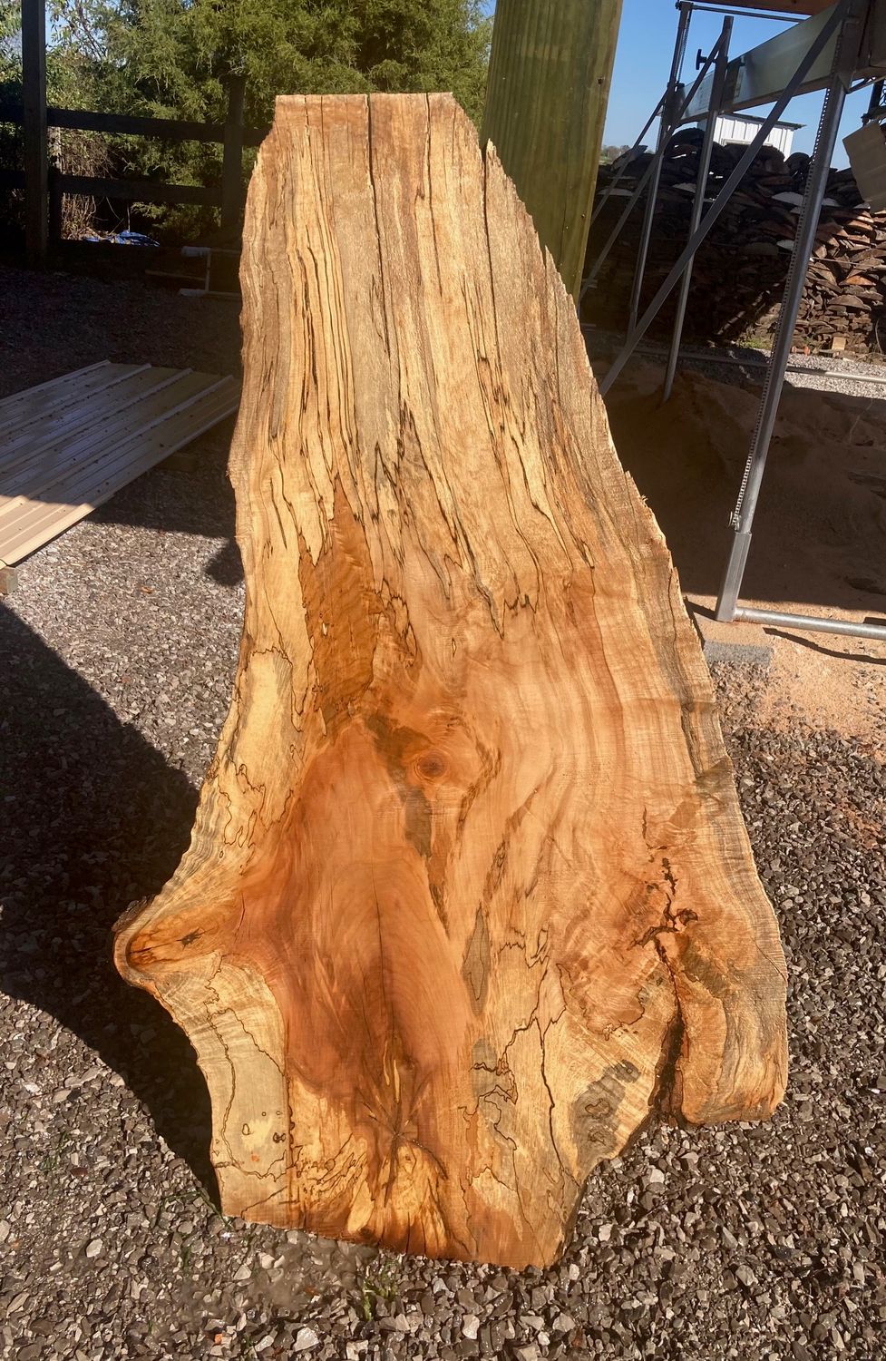 LIVE EDGE MAPLE SLAB