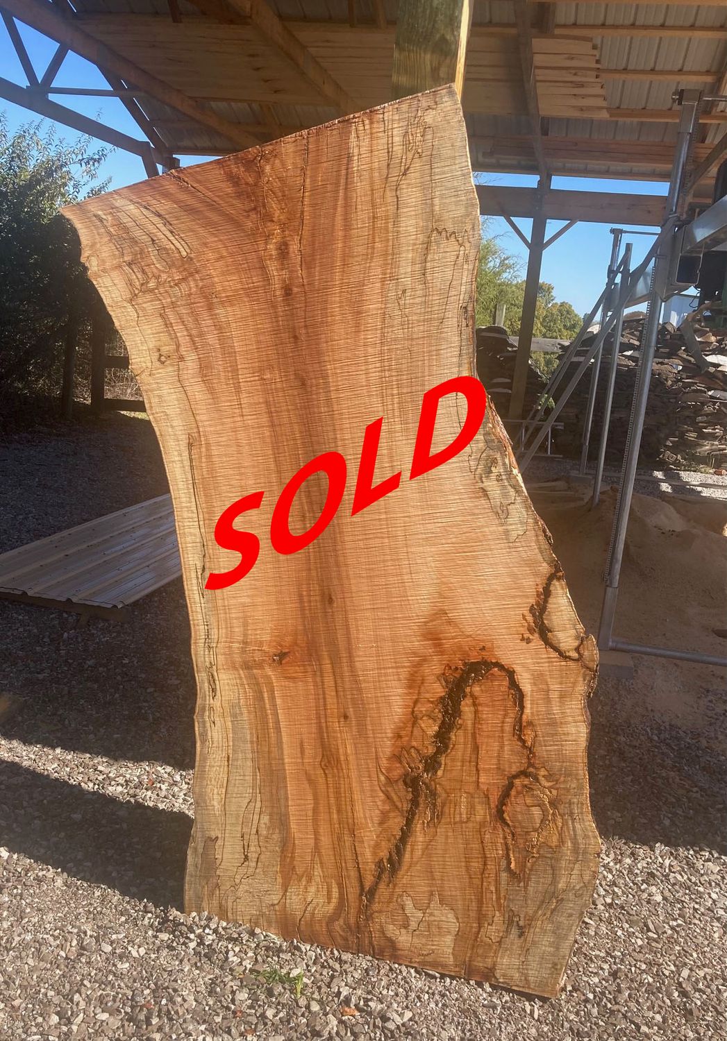 LIVE EDGE MAPLE SLAB - SOLD