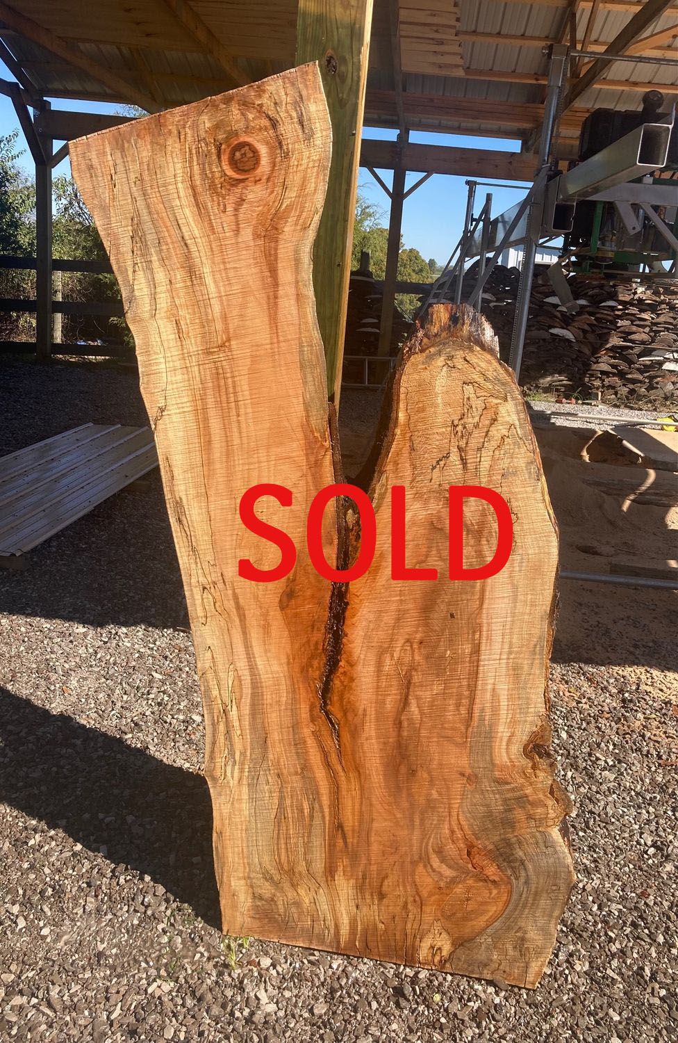 LIVE EDGE MAPLE SLAB - SOLD