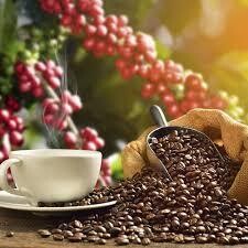 Arabica Robusta Mix Filter Coffee - 250g