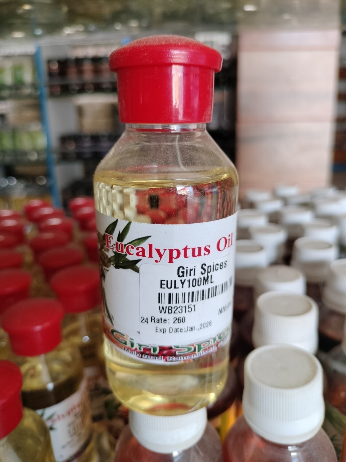 Eucalyptus Oil - 100ml